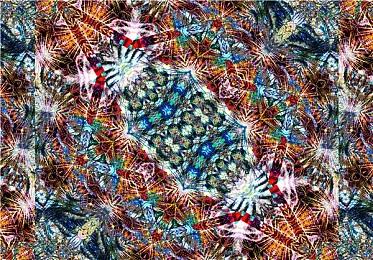 高玩坚持10年自虐玩法 大针蜂一只通关《宝可梦》